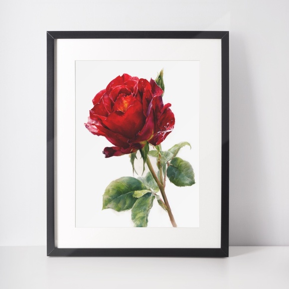 Watercolor Single Red Rose Wall Art Print, Unframed - Timeless Floral Elegance - Picture 3 of 6